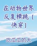 在动物世界练武术
