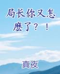 局长怎么样