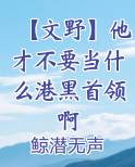 文野我成为了港黑首领布达妮