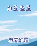 白星盗星在线阅读无弹窗